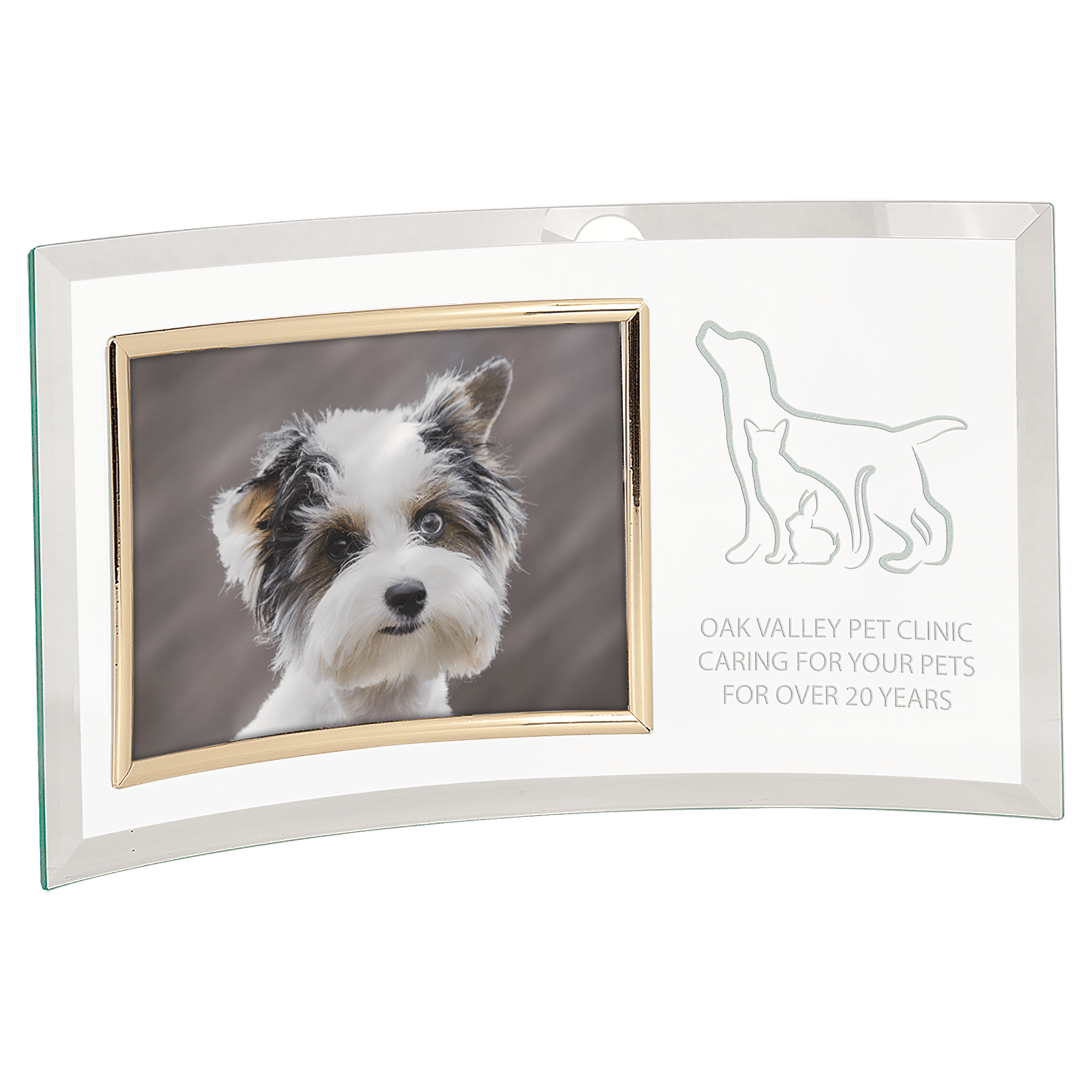 Pet memorial glass crescent plaque